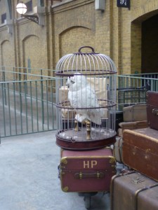 Harry Potter Luggage