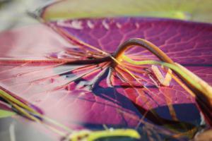 540281_10152022877675252_1946054493_n