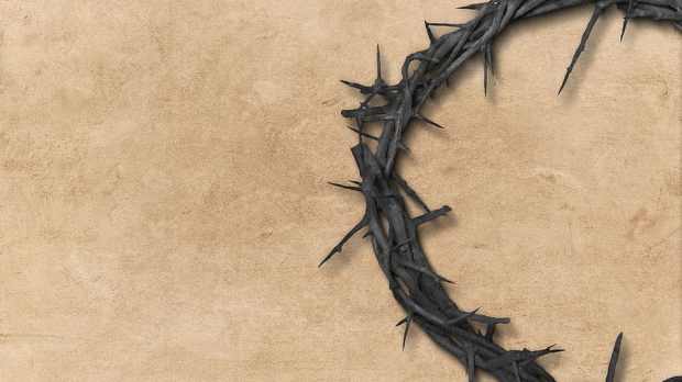 Parnell crown of thorns